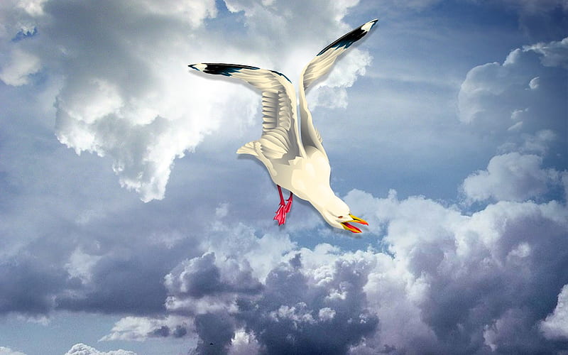 Seagull in the clouds, blue skys, seagul, fluffy blue clouds, HD wallpaper