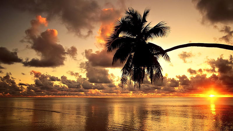 Beautiful Sunset And Sky With Clouds On Lake And Palm Tree Sunset, HD ...