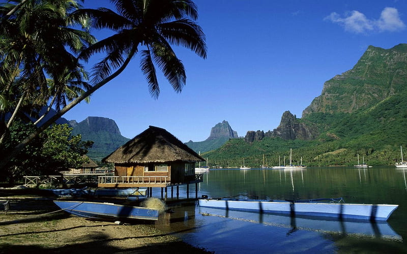 Cooks Bay, Moorea, Tahiti, summer, cabin, sea, palms, HD wallpaper