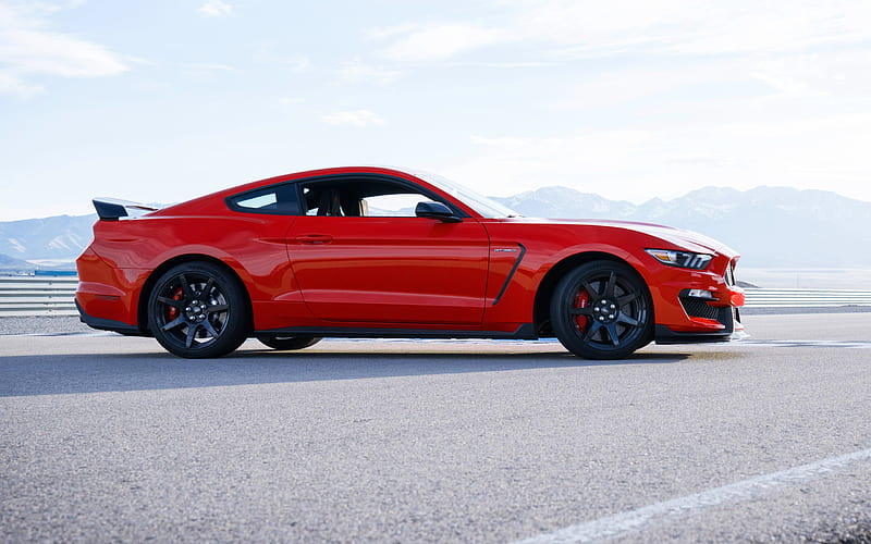 Ford Mustang, Shelby GT350, Sports car, red Mustang, tuning Mustang, racing car, Ford, HD wallpaper
