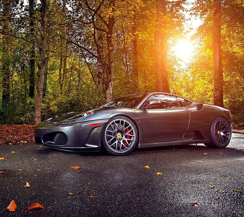 Ferrari Sports, car, cool racing, sports car, sun, HD wallpaper | Peakpx