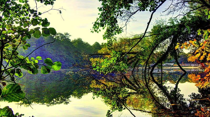 Wallpaper forest, nature, lake, reflection, fishing, fishing rods for  mobile and desktop, section природа, resolution 1920x1280 - download