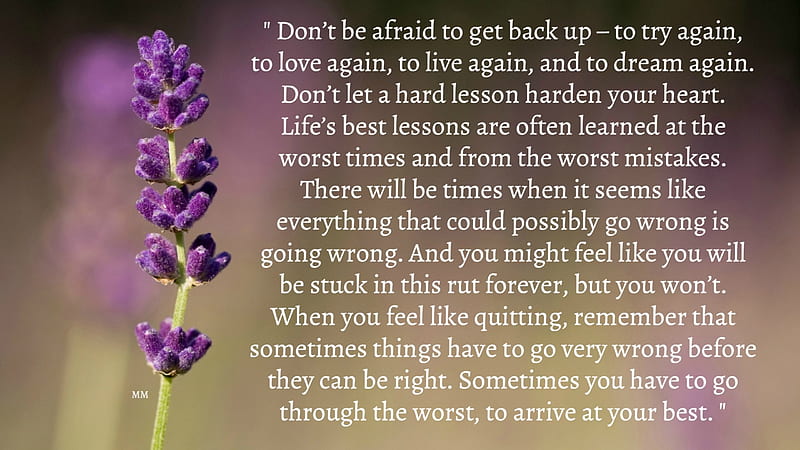 To get back up, Words, Thoughts, Flowers, Nature, Quotes, Saying, HD wallpaper