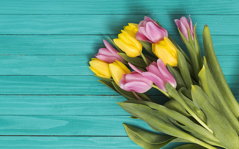 bouquet of tulips, blue wooden background, spring flowers, yellow tulips, floral background, HD wallpaper