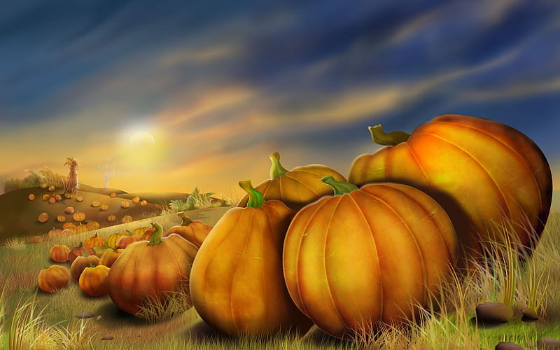 Montreal pumpkin - Thanksgiving illustration design, HD wallpaper