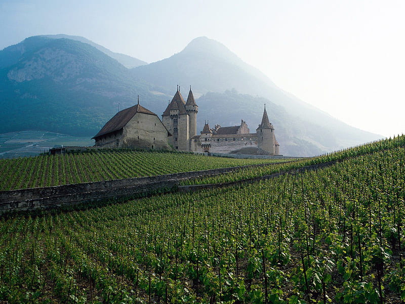 Swiss countryside, countryside, mountains, swiss, vineyard, switzerland, HD wallpaper