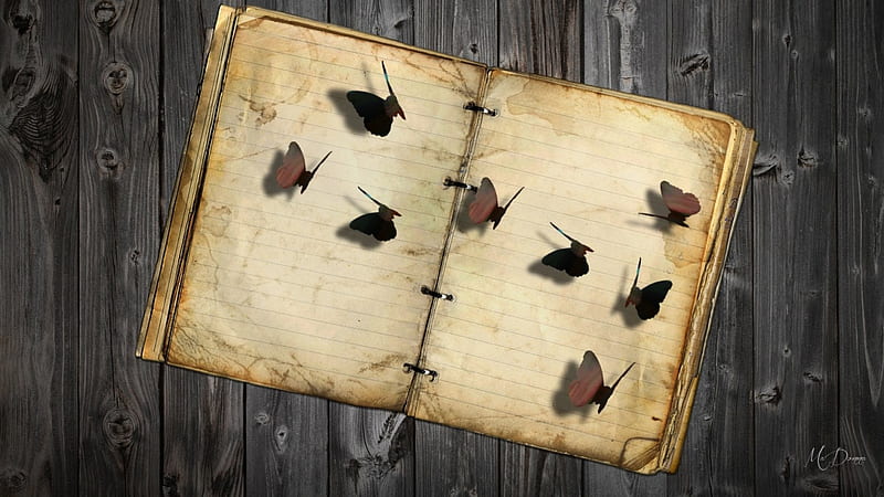 Butterfly Book on Wood, book, butterflies, abstract, old, old book, diary, shadows, Firefox Persona theme, wood, vintage, HD wallpaper
