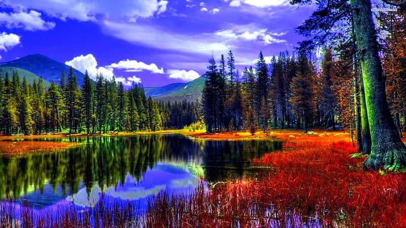 Autumn Lake In The Mountains, Fall, forest, trees, sky, clouds, pines ...
