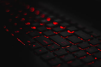Computer Keyboard Images, HD Pictures For Free Vectors Download -  Lovepik.com