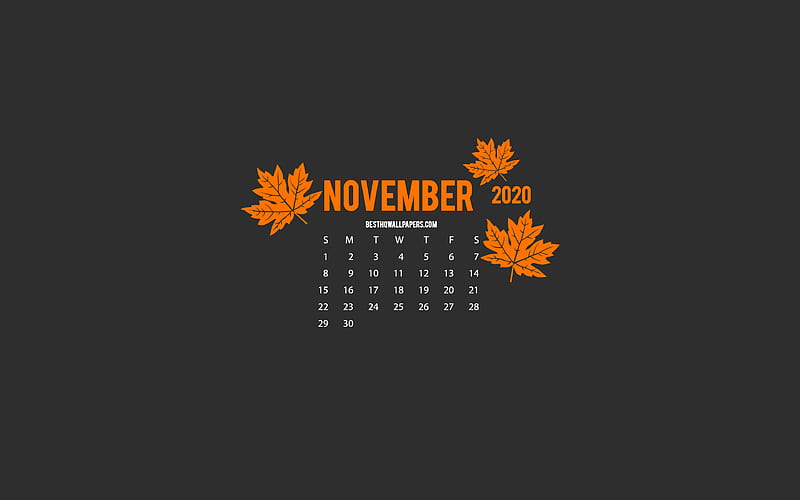 2020 November Calendar, minimalism style, gray background, autumn, 2020 calendars, Gray 2020 November Calendar, creative art, HD wallpaper