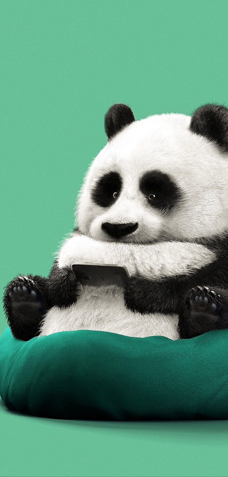 Panda , panda, telephone, HD phone wallpaper