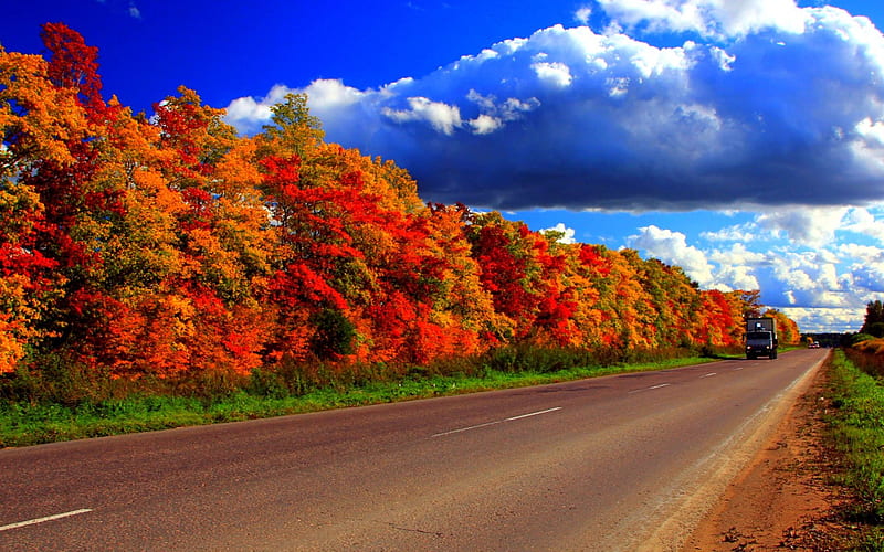 fall road wallpaper