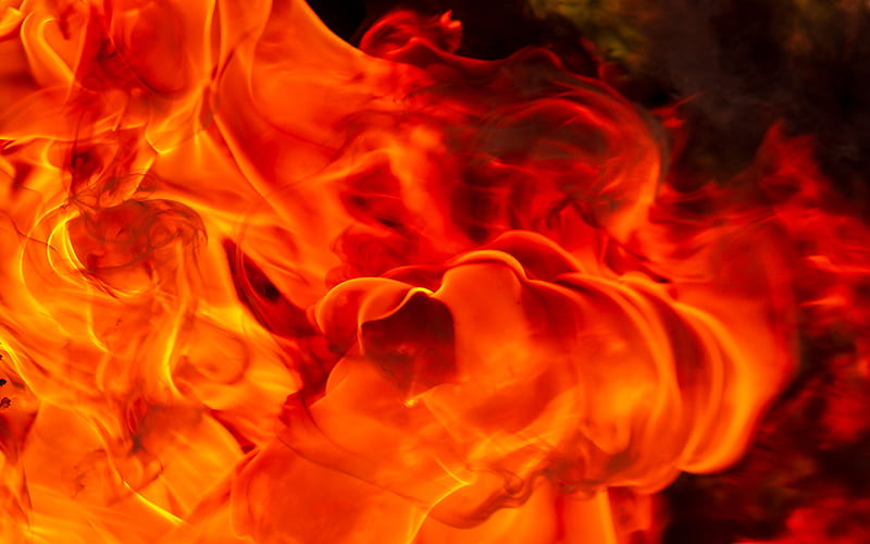 fire flames, close-up, orange flames, macro, bonfire, orange fire texture, flames of fire, HD wallpaper