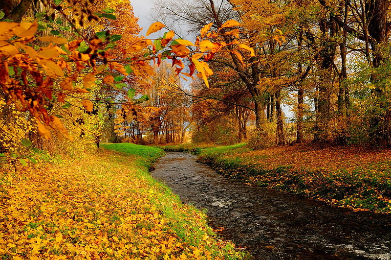 Autumn creek, stream, fall, autumn, falling, bonito, foliage, leaves ...