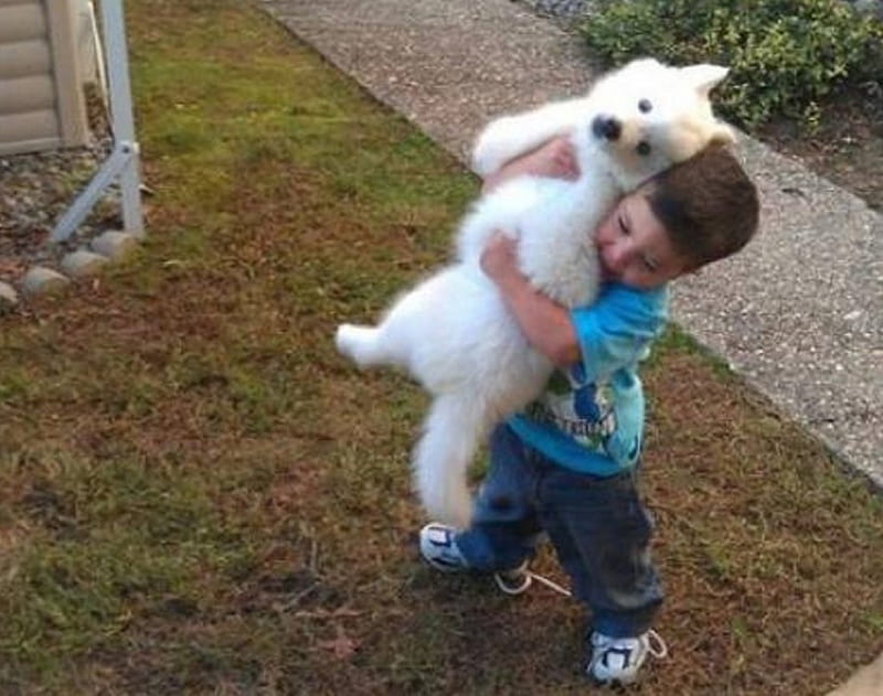 I GOT YOU BUDDY, KID, DOG, CUTE, BUDDY, HD wallpaper