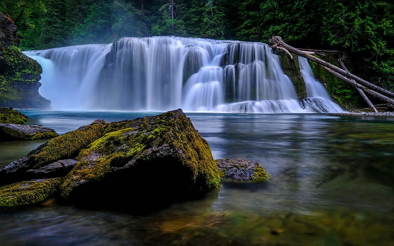 Lower Lewis River Falls, waterfall, lake, forest, American nature, Lewis River, Washington, USA, HD wallpaper