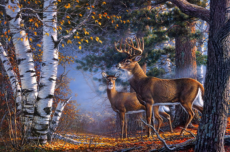 Cold snap, autumn, serenity, cold, snap, deer, art, forest, family, fall, bonito, HD wallpaper