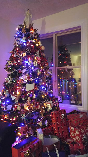 Christmas Tree, christmas, trees, christmas lights, lights, merry, season,  vacation, HD phone wallpaper | Peakpx