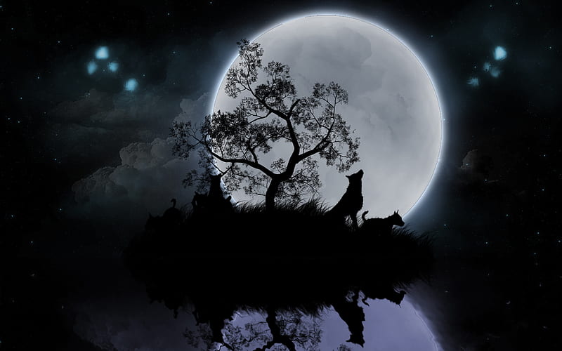 live wolf , sky, cat, felidae, screenshot, technology - Use, Wolf With Moon, HD wallpaper