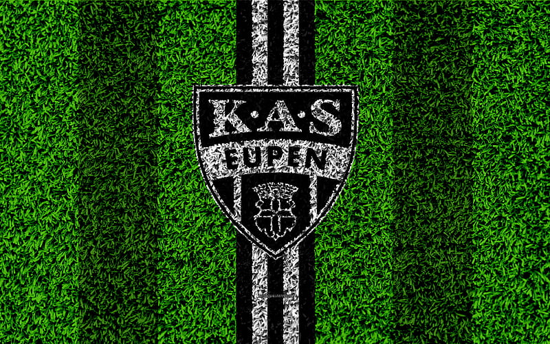 KAS Eupen Belgian football club, football pitch, logo, white black lines,  Jupiler League, HD wallpaper | Peakpx