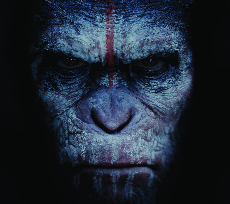 Planet of the Apes Caesar Art Print Retro Movie Poster Film  Planet of the  apes Monkey wallpaper Gorilla tattoo