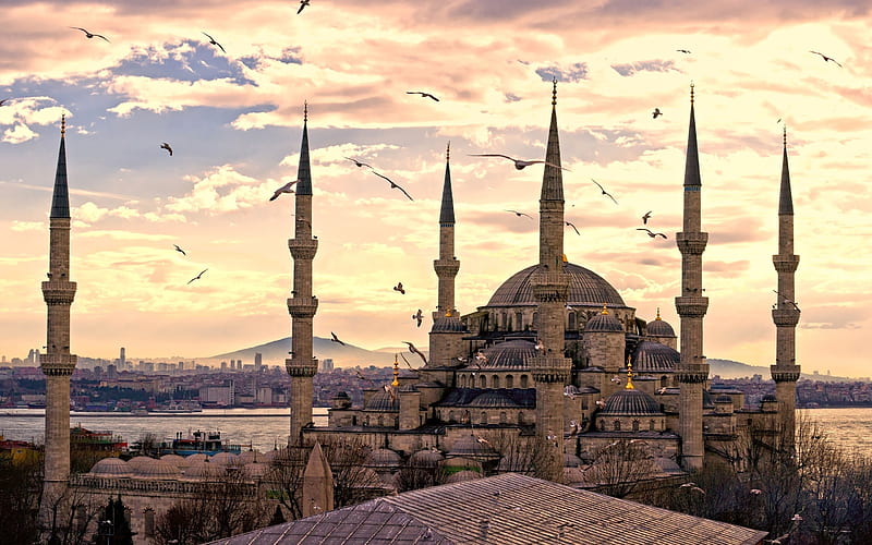 sultanahmet mosque, turkey, istanbul, beautiful, religion, birds, clouds, City, HD wallpaper