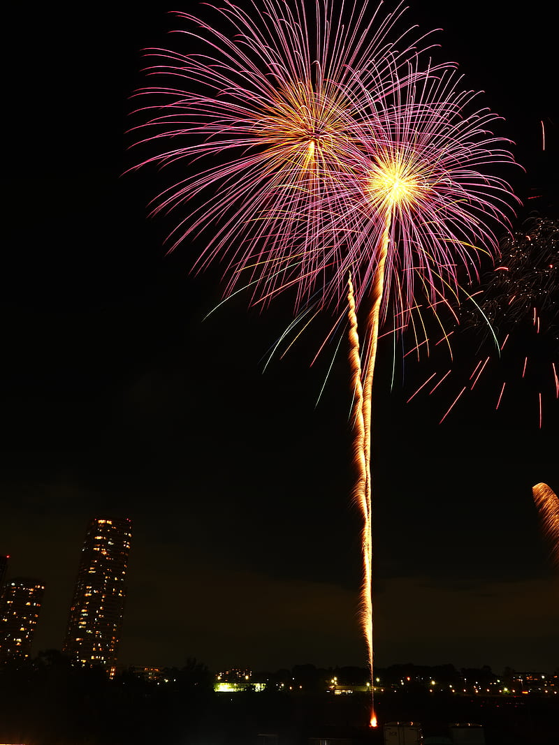 fireworks, salute, holiday, night, HD phone wallpaper