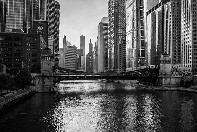 river, bridge, buildings, skyscrapers, black and white, chicago, usa, HD wallpaper
