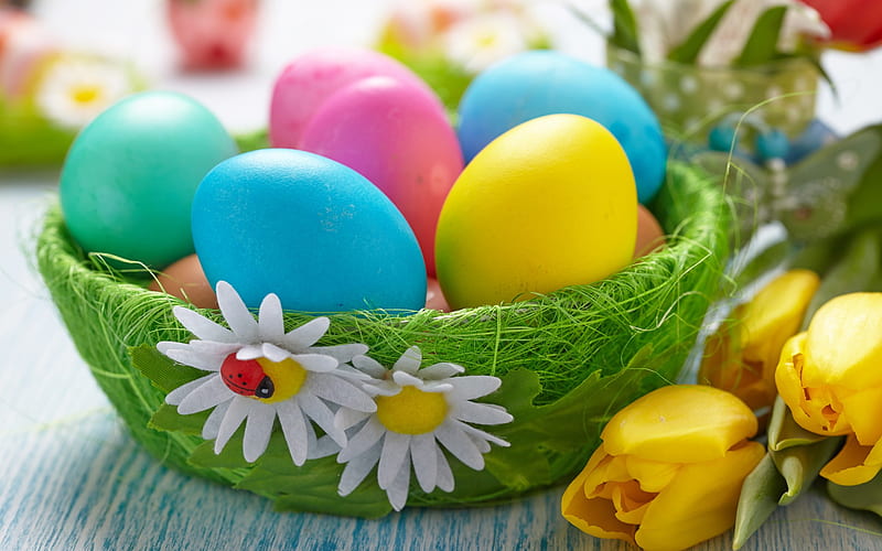 Easter eggs, basket, daisies, spring flowers, Easter, spring, Easter background, HD wallpaper