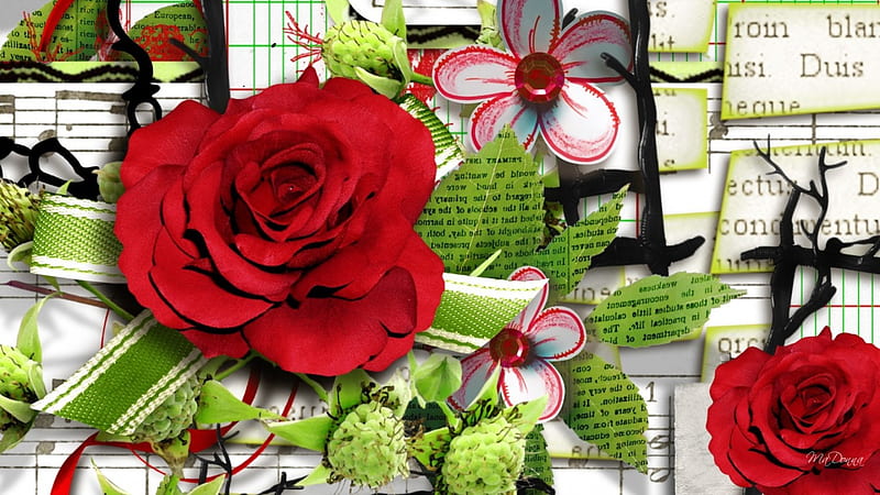 Red Roses on Paper, rose, ribbon, spring, bow, leaves, newspapers, summer, flowers, nature, paper, HD wallpaper