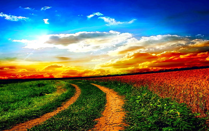 FIELD at SUNSET, horizon, nature, sunset, road, field, HD wallpaper ...