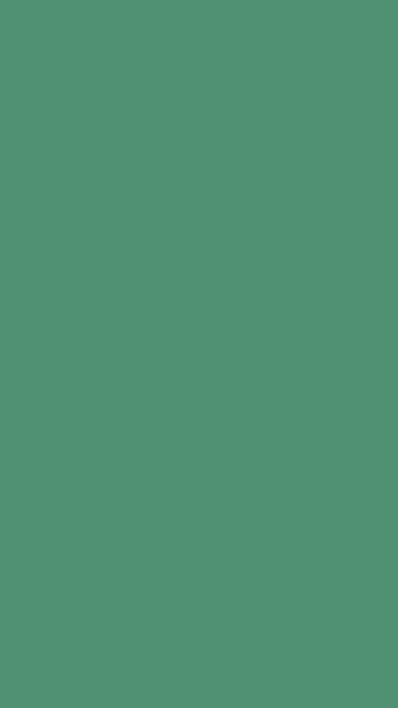 Green, solid, background, HD phone wallpaper | Peakpx