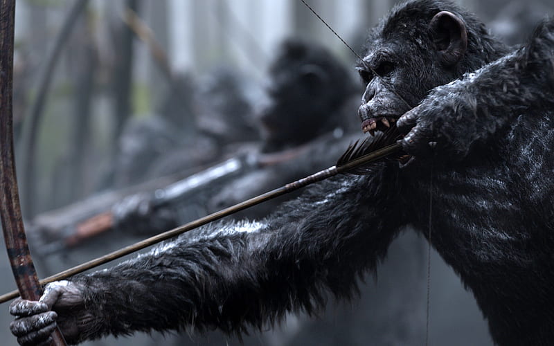 War for the Planet of the Apes, guerra, apes, planet, movie, 2017, HD wallpaper