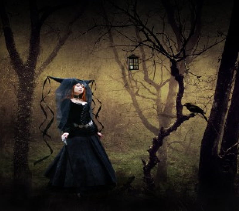 Witch In The Woods, Witch, Lamp, Cane, Woods, Crow, Hd Wallpaper 