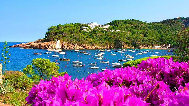 Mediterranean Spring, rhododendrons, italy, blossoms, sea, boats, trees, HD wallpaper
