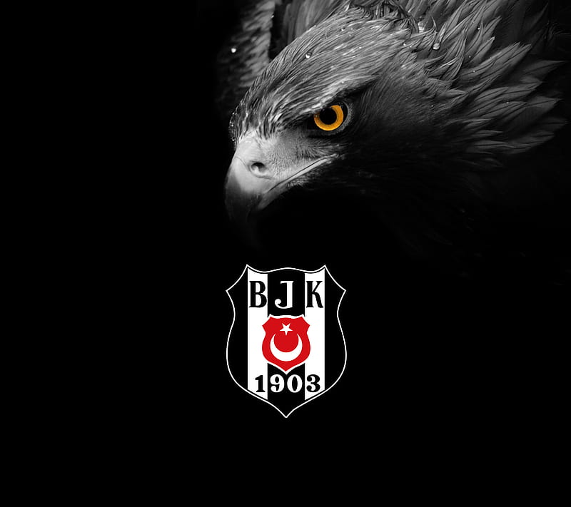 Besiktas - BJK, besiktas, bjk, black, dark, eagle, kartal, black, turkiye, HD wallpaper