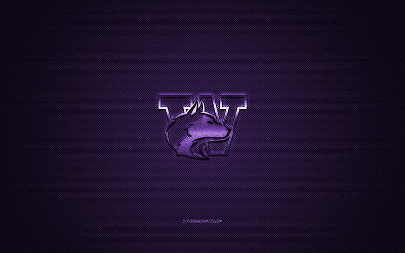 Washington Huskies logo, American football club, NCAA, purple logo, purple carbon fiber background, American football, Seattle, Washington, USA, Washington Huskies, University of Washington, HD wallpaper