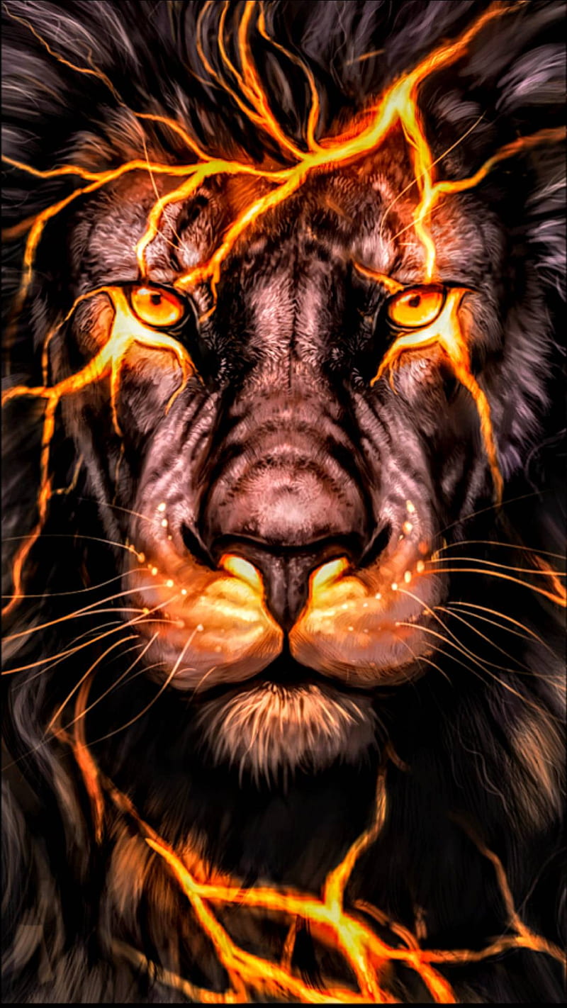 Orange Tiger, animals, big, black, king, lion, lions white, HD phone wallpaper