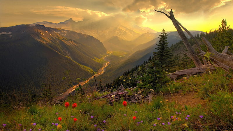 Peaceful View, mountain, forest, force of nature, view, flowers, nature, peace, HD wallpaper