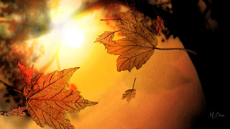 Fall Fresco, fall, autumn, leaves, sunrise, sunshine, sunset, sky, Firefox Persona theme, HD wallpaper