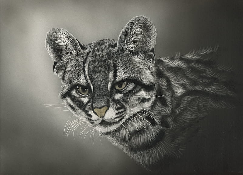 Wild cat, cat, wild, leopard, draw, art, animal, HD wallpaper | Peakpx
