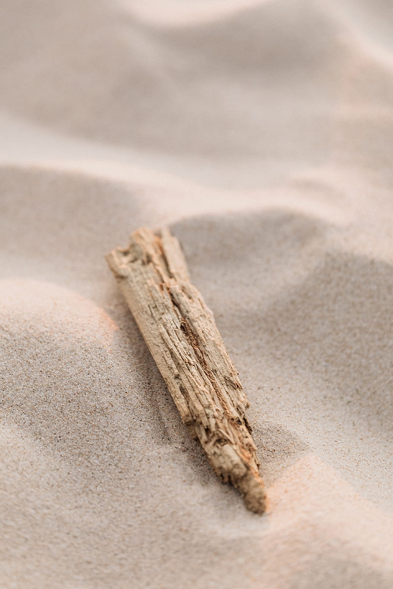 Brown Wood on White Sand, HD phone wallpaper