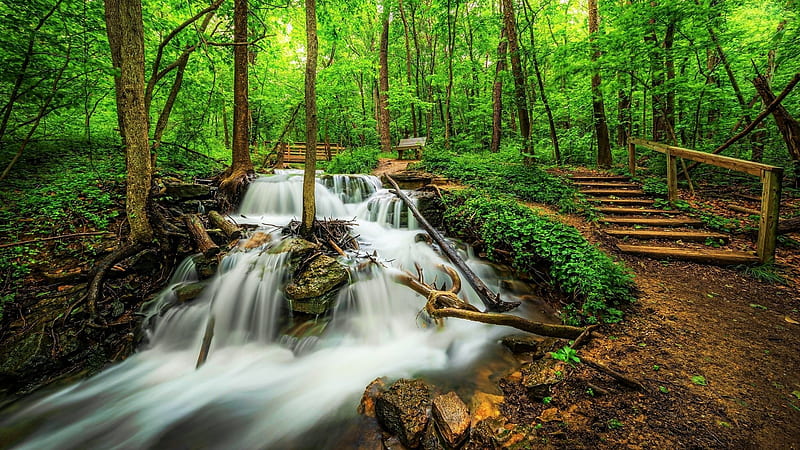 Waterfalls Stream Wood Logs Bridge Green Trees Plants Bushes Forest Background Nature, HD wallpaper