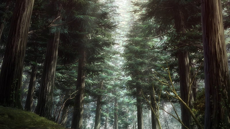 anime scenery forest