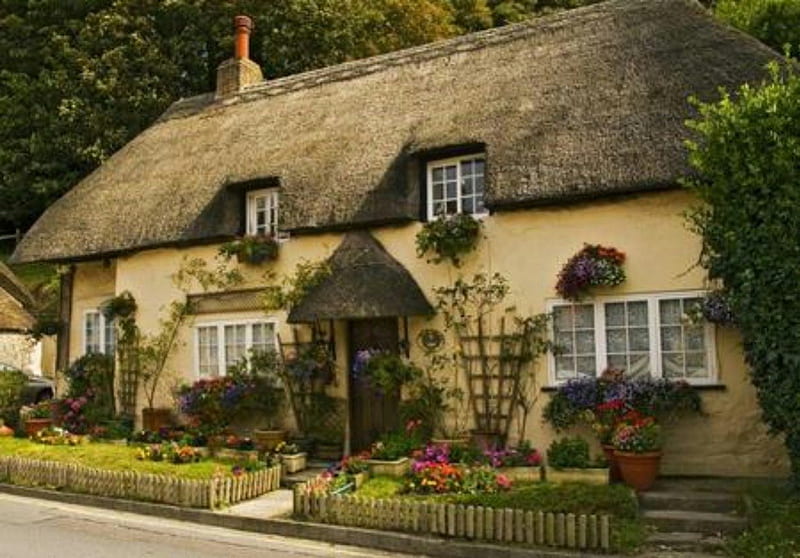 English cottage, architecture, tached roof, medival, cottage, HD wallpaper