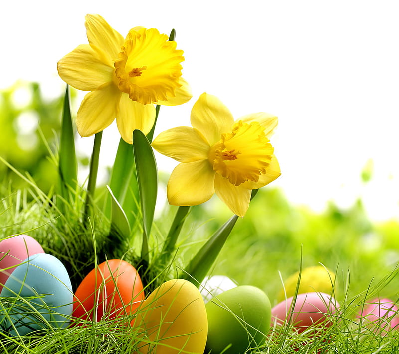 Spring Time, easter, eggs, flowers, HD wallpaper