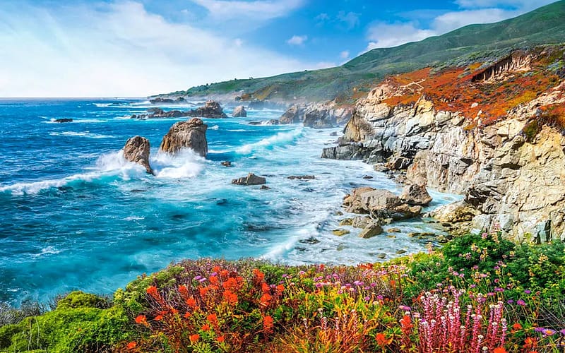 Big Sur, California, pacific, coast, clouds, flowers, sky, usa, ocean, stones, HD wallpaper