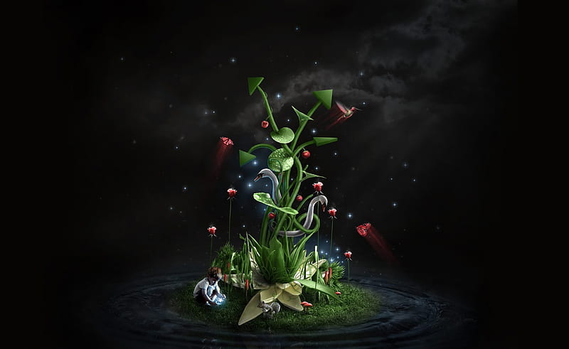 Your world in universe!, world little, grass, background, small kid, fantasy, butterfly, green flowers, squirell, child, animals, stars, pic, colors, black, wall, swans, boy, 3d, bird, universe, digital, nature, HD wallpaper