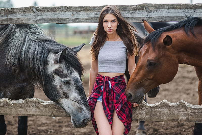 Girl With Horses, Girl, Farm, Beauty, Horses, HD wallpaper