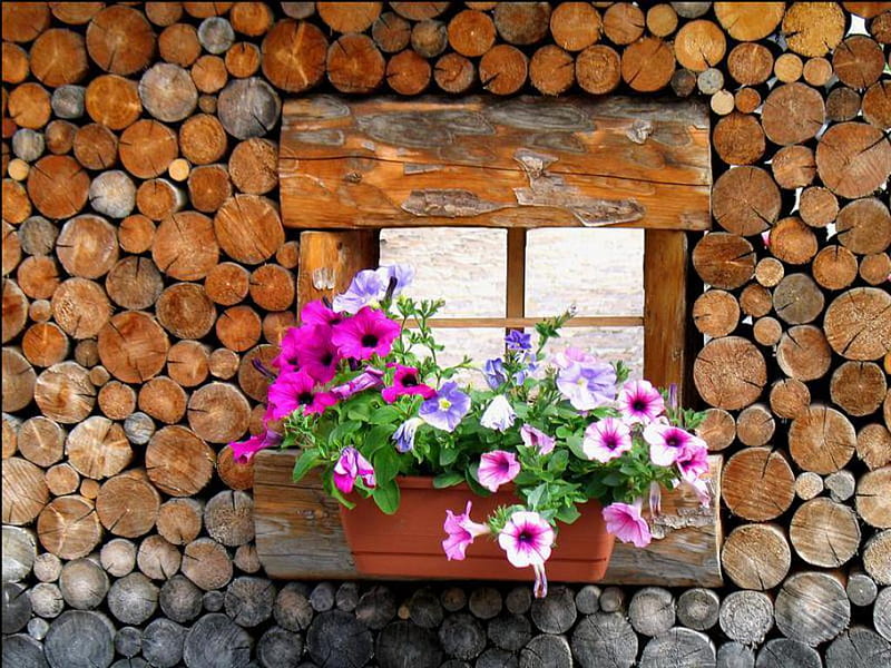 My Mountain Home, architecture, scarlet, vase, countryside, nice, colored, logs, flowers, cities, wood, vessel, houses, glass, cool, purple, awesome, violet, hop, white, red, colorful, brown, gray, bib, home, pot, bonito, graphy, city, green, pistils, pink amazing, window, colors, duct, medieval, petals, nature, natural, scarlat, HD wallpaper